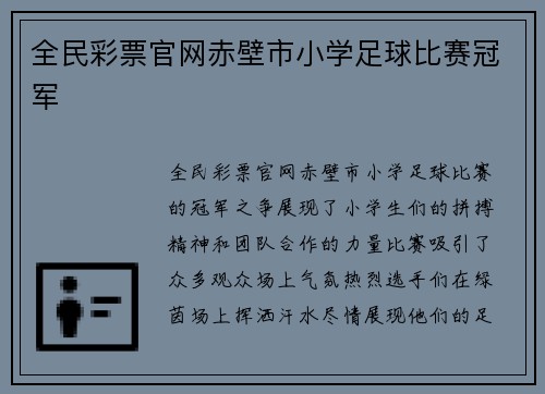 全民彩票官网赤壁市小学足球比赛冠军